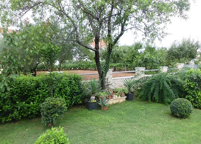 Apartman Surac