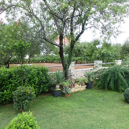 Apartment Villa Surac