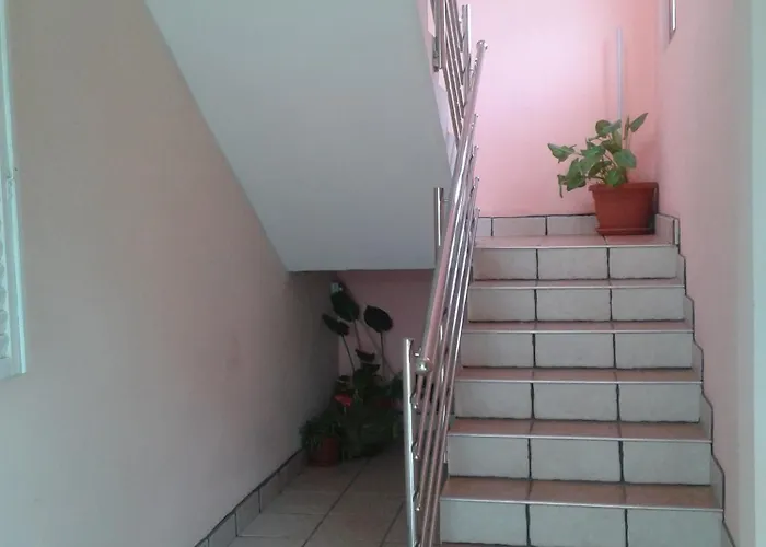 Surac Murvica (Policnik)