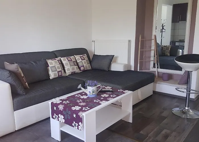 Surac Murvica (Policnik)